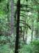 twinfallshike28_small.jpg