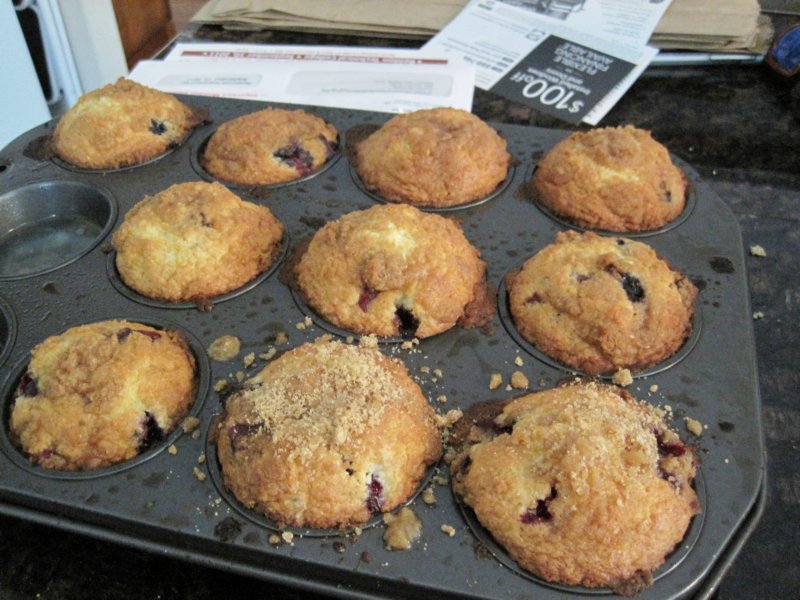 food04blueberrymuffins.jpg