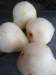 food06pears_small.jpg
